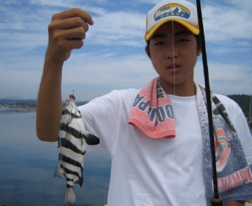 Faq ボーイスカウト広島県連盟